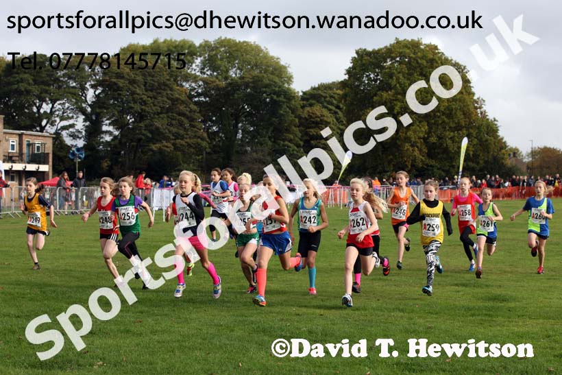 Girls under-11s Northern Cross Country Relays, Graves Park, Sheffield. Photo: David T. Hewitson/Sports for All Pics